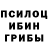 Галлюциногенные грибы Magic Shrooms Vlad Surgutsckov