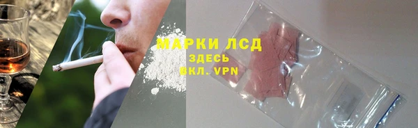 стафф Аркадак