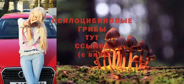 гашик Армянск