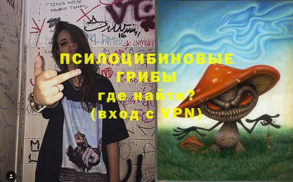 гашик Армянск