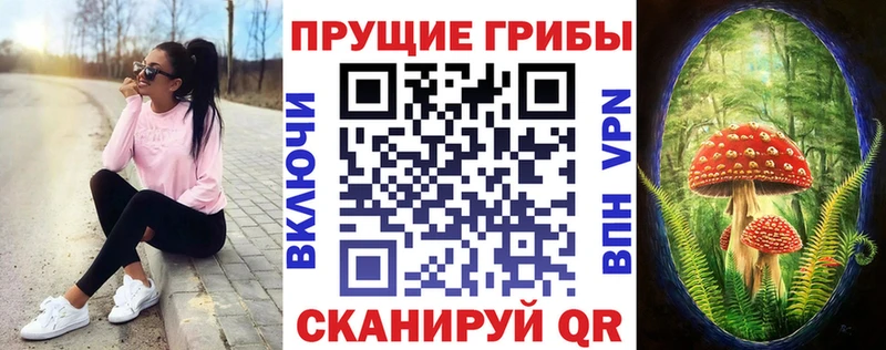 Купить закладки  Сунжа  Псилоцибиновые грибы GOLDEN TEACHER 