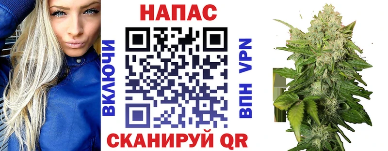 Купить закладки  Сунжа  Бошки марихуана ГИДРОПОН 